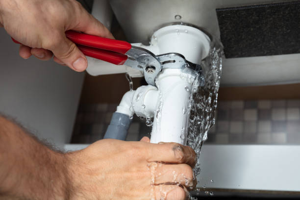 Best Water damage restoration mold remediation  in Denison, IA