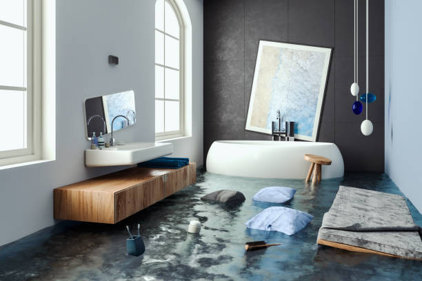 Water damage restoration mold remediation in Denison, IA