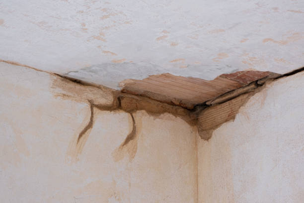Professional Water damage restoration in Denison, IA