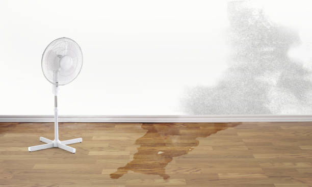 Denison, IA Water damage restoration Company