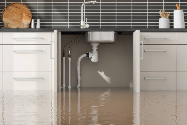 Best Emergency water extraction  in Denison, IA